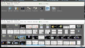 Sorting images with Gwenview and Thunar.