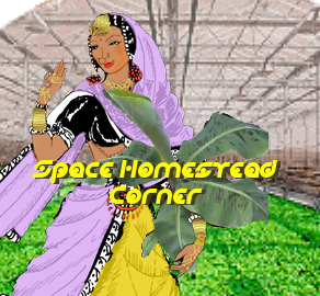 Lunatics Project History — Part 1: Inspirations & Origins (1999-2009)