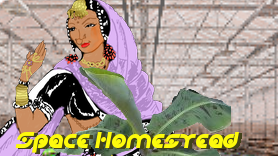 Lunatics Project History — Part 1: Inspirations & Origins (1999-2009)