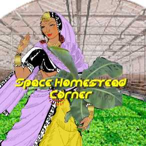 Space Homestead Corner (Indian Woman)