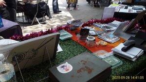 My view from the table.