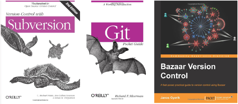Version Control Guides
