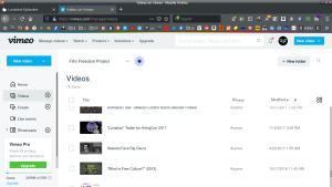 Vimeo Screen Capture