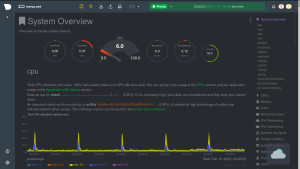 NetData screen capture with dials and graphics