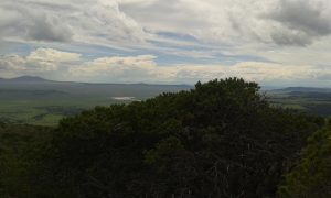 Horizon view from trail.