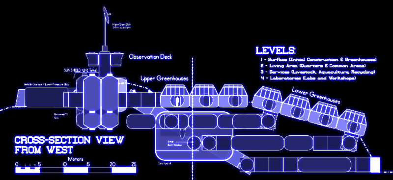 ISF-1 Colony Cross-Section