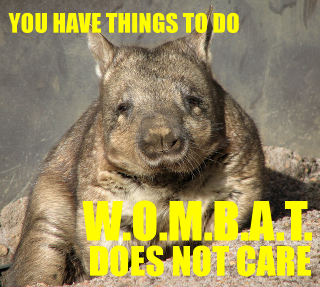 Uncaring W.O.M.B.A.T.