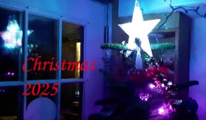 Top of our Christmas tree, lit with purple lights and a bright five-pointed star on top, also reflected in the window.